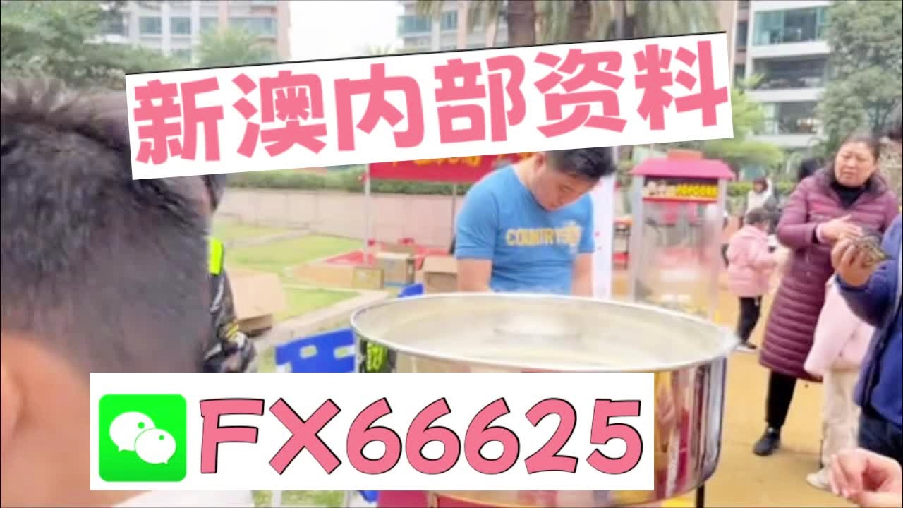 新奧2025資料大全最新版本，全面解析與深度洞察，新奧2025資料大全最新版，全面解析與深度洞察報(bào)告