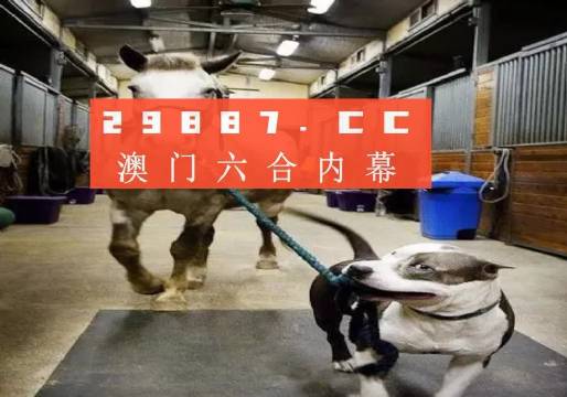 澳門一肖一碼一必中一肖，同舟前進的奧秘與策略，澳門一肖一碼必中策略與前進奧秘，同舟共濟的揭秘與策略