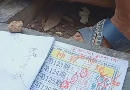 香港中特期期準(zhǔn)資料，深度解析與探索，香港中特期期準(zhǔn)資料深度解析與探索報(bào)告