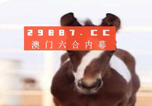 澳門一肖一碼狀元紅，揭秘彩票背后的秘密與策略，澳門彩票揭秘，狀元紅背后的秘密與策略解析