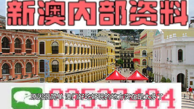 澳門精準(zhǔn)資料大全免費，探索與解析，澳門精準(zhǔn)資料大全免費解析探索