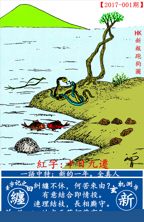 探索全新版跑狗圖，7777788888的魅力與策略，探索全新版跑狗圖，7777788888的魅力與攻略解析