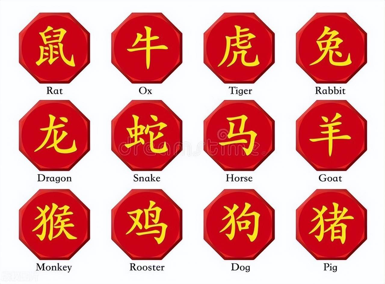 新澳特碼，羊?；⒏鲾?shù)10——揭秘背后的數(shù)字奧秘，揭秘新澳特碼數(shù)字奧秘，羊牛虎各數(shù)背后的秘密