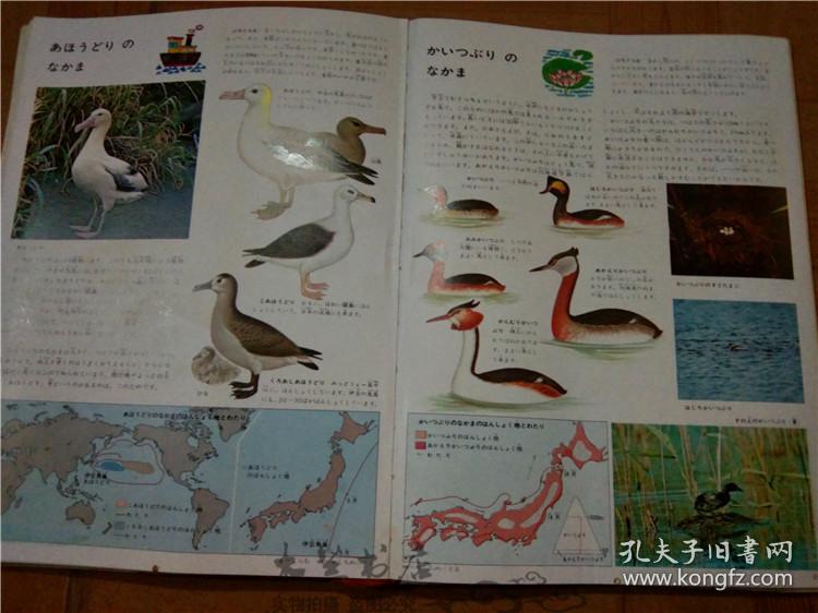 今日正版跑狗圖分享，探索7777788888跑狗圖的魅力，今日正版跑狗圖分享，探索魅力十足的777778跑狗圖