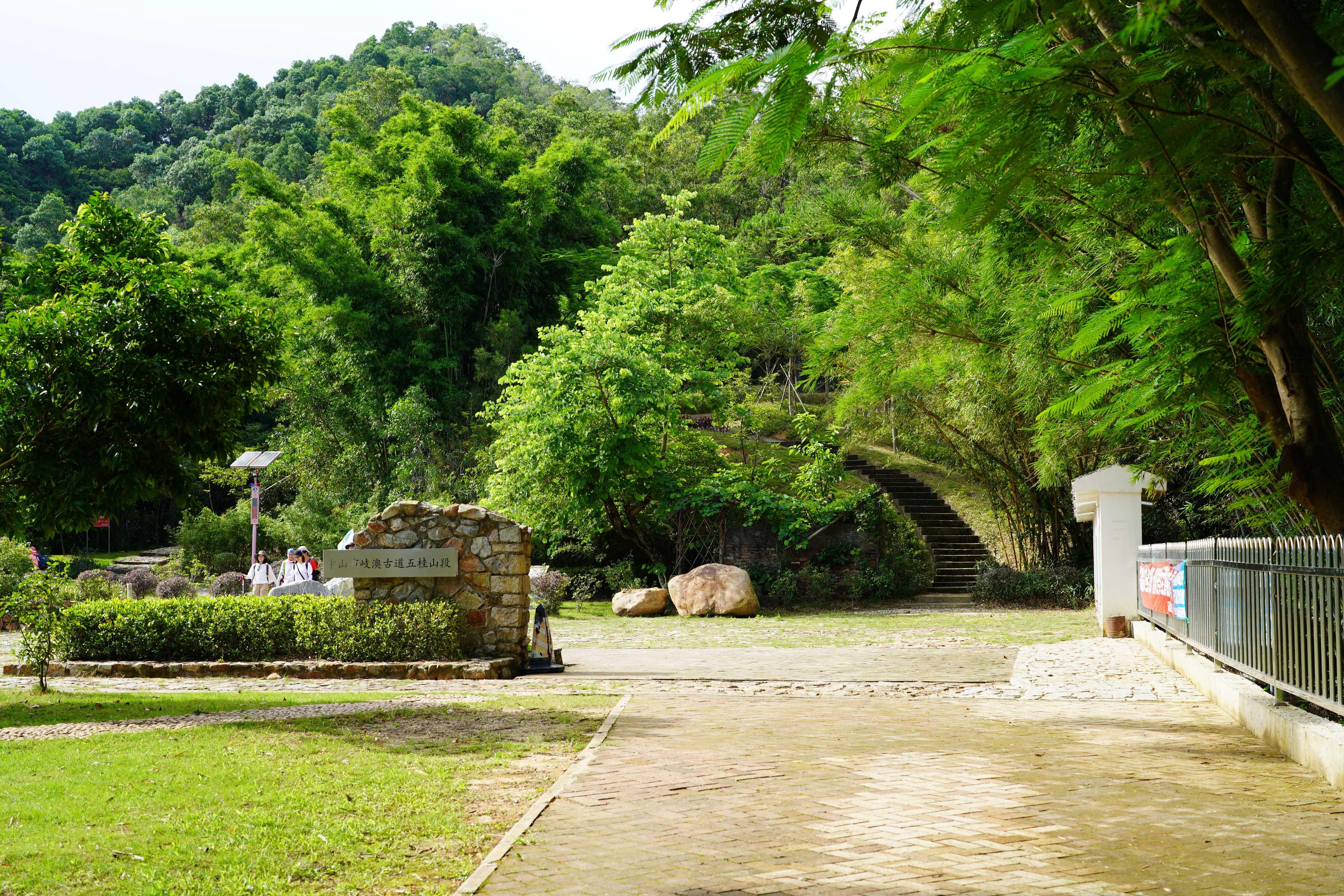 新澳門彩生肖走勢圖，探索與解讀彩票背后的秘密，探索解讀新澳門彩生肖走勢圖，彩票背后的秘密揭秘