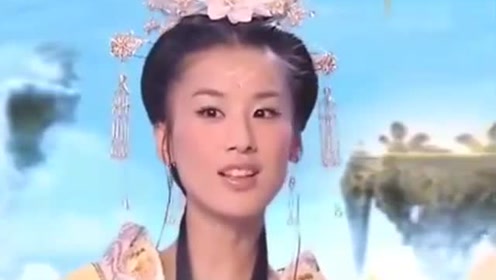曾道道人資料免費大全，深度探索與解析，曾道道人資料深度解析與免費大全探索