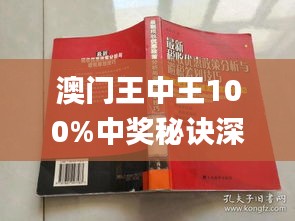 新澳門王中王期期中，探索與解析，新澳門王中王期期中，深度探索與解析