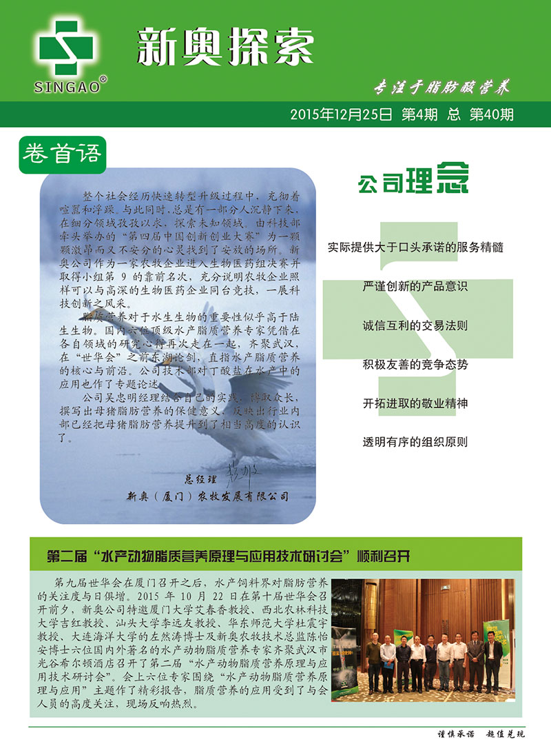 2025新澳正版資料查詢指南，2025新澳正版資料查詢手冊(cè)