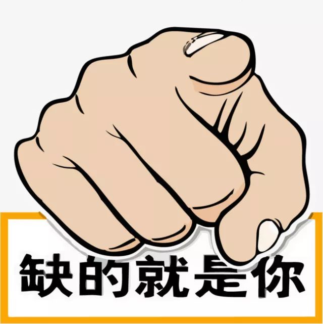 鐵算盤(pán)，全網(wǎng)矚目，傾力打造引領(lǐng)潮流的火熱品牌！，鐵算盤(pán)引領(lǐng)潮流，全網(wǎng)矚目成火熱品牌！