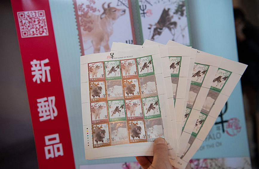 澳門值日生肖600圖庫與八百圖庫開獎，探索生肖圖庫的魅力與奧秘，澳門生肖圖庫開獎揭秘，探索值日生肖600圖庫與八百圖庫的魅力與奧秘