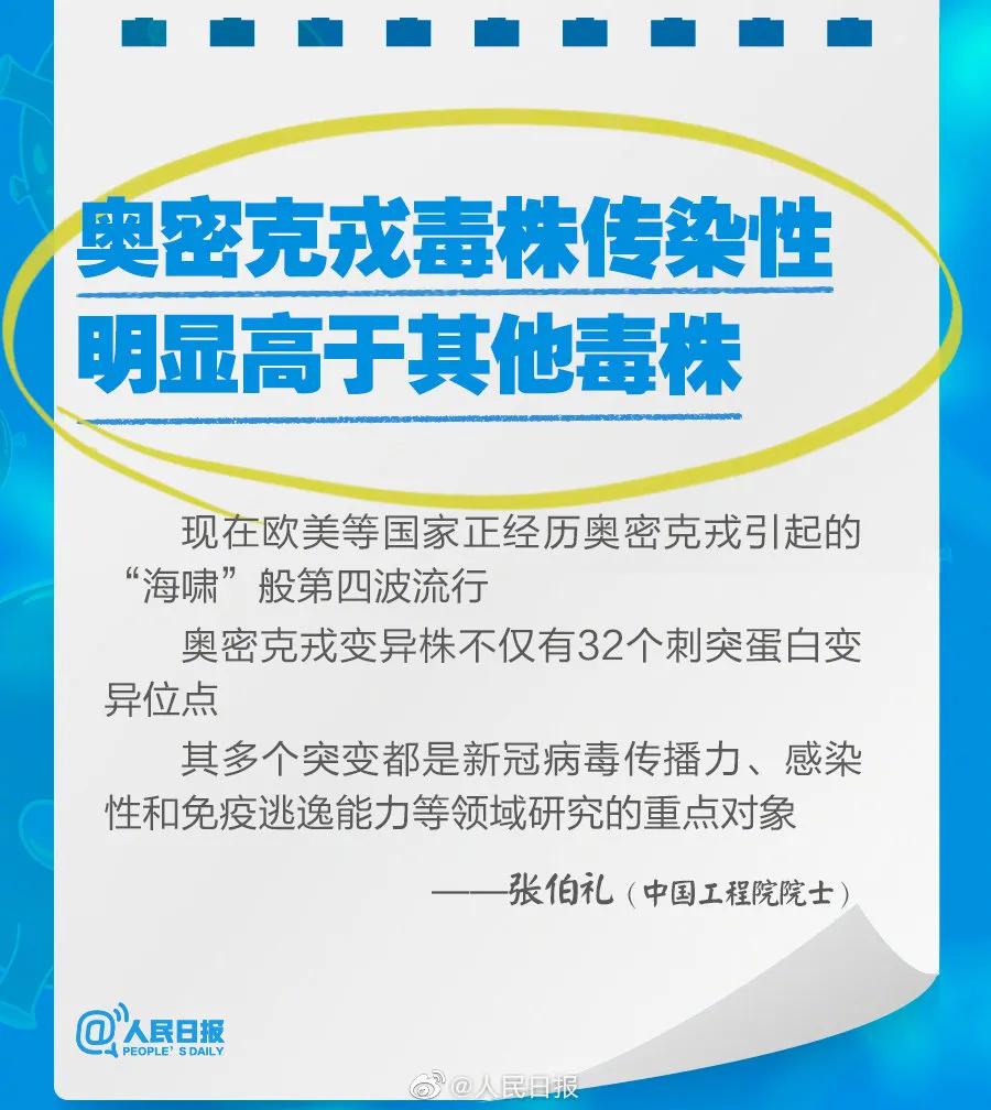 新奧2025最新資料大全，準(zhǔn)確資料全面解析，新奧2025最新資料大全，全面解析準(zhǔn)確資料一網(wǎng)打盡
