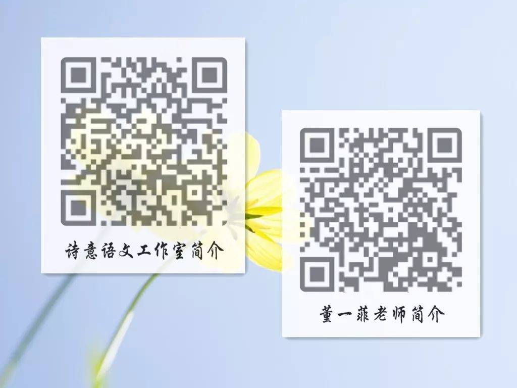 一碼一肖一特一，揭秘背后的秘密與獨(dú)特之處，揭秘一碼一肖一特一的獨(dú)特之處與背后秘密