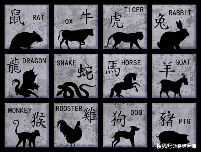 新澳特碼，羊?；⒏鲾?shù)10的獨特魅力與解析，新澳特碼，羊?；⒏鲾?shù)10的獨特魅力深度解析