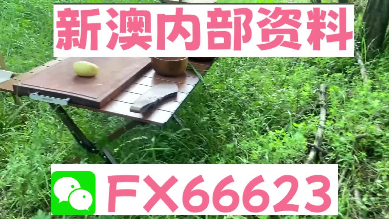 新奧特碼走勢圖解析與預(yù)測，新奧特碼走勢圖解析與預(yù)測，未來趨勢探討