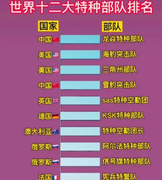中國(guó)十大王牌特種部隊(duì)，實(shí)力與榮耀的象征，中國(guó)十大王牌特種部隊(duì)，實(shí)力與榮耀的巔峰標(biāo)志