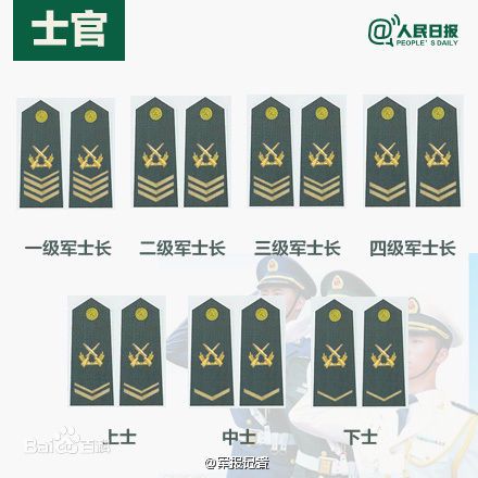全球各國軍士長軍銜對(duì)照表及其重要性，全球各國軍士長軍銜對(duì)照表，揭示其重要性