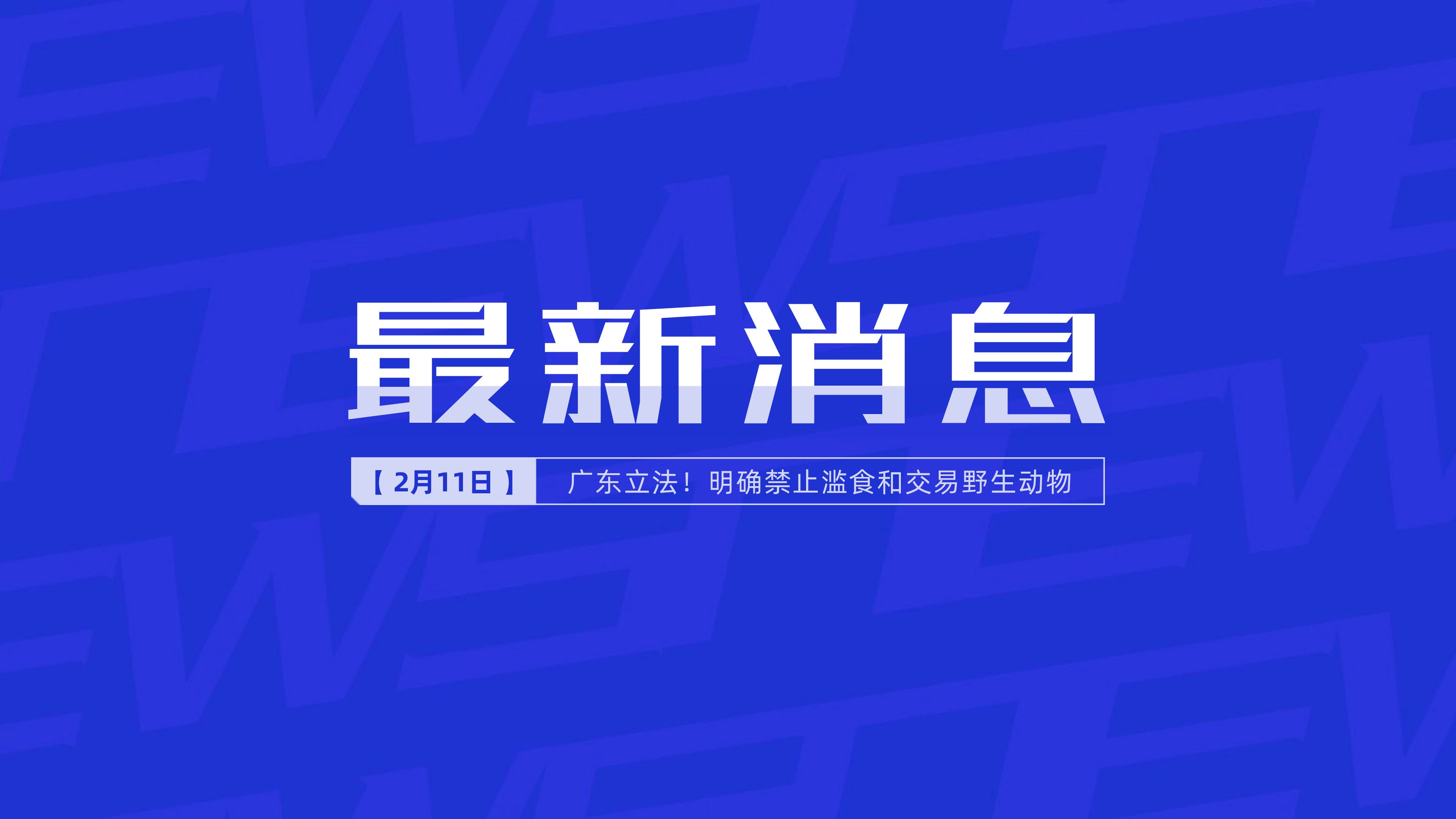 新聞最新新聞，掌握時事熱點，洞悉世界動態(tài)，時事熱點速遞，掌握全球最新動態(tài)新聞