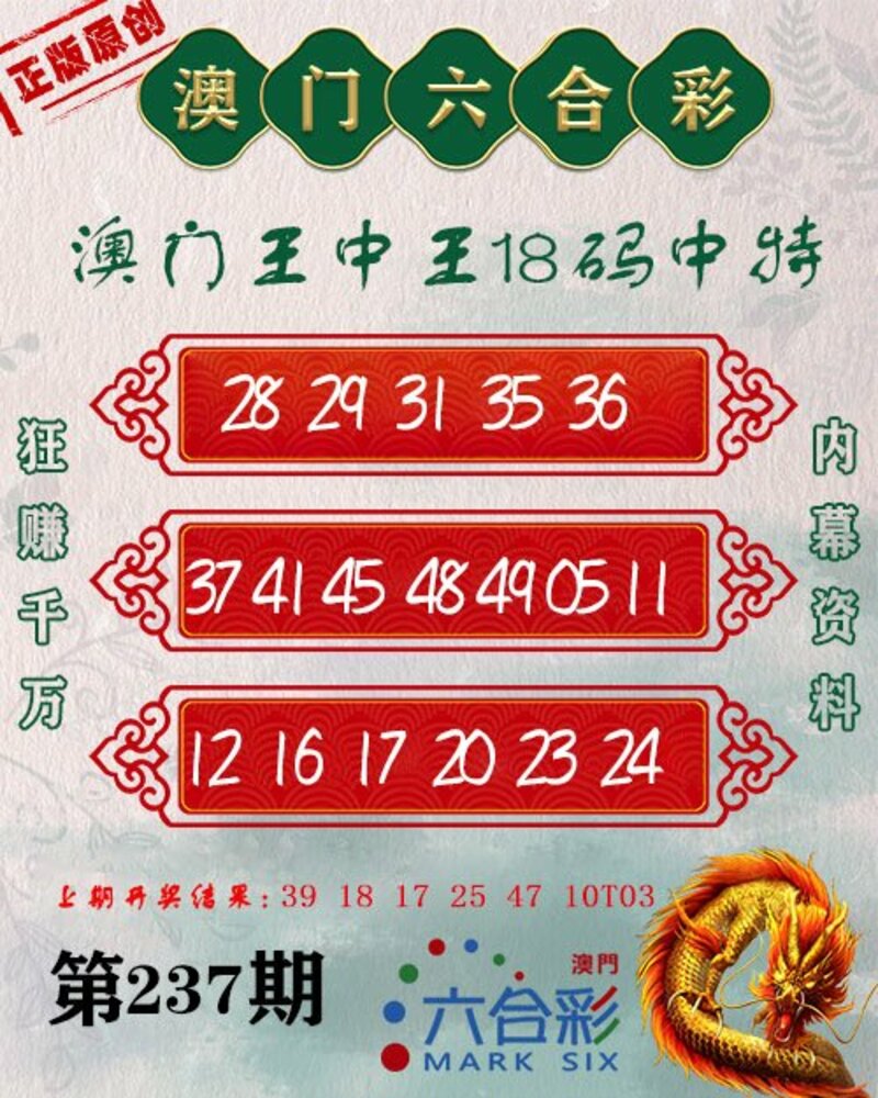 新澳門王中王期期中，探索與解析，新澳門王中王期期中，深度探索與解析
