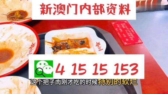 澳門王中王六碼新澳門，探索與解析，澳門王中王六碼新澳門，深度探索與解析