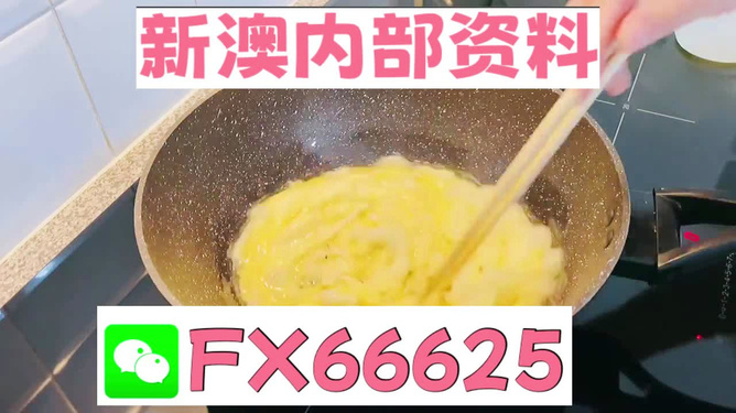 澳門九點(diǎn)半9點(diǎn)半網(wǎng)站——探索與體驗(yàn)，澳門九點(diǎn)半網(wǎng)站，探索與體驗(yàn)之旅