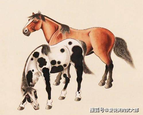 香港四不像一肖生肖圖，揭秘背后的神秘文化，香港四不像一肖生肖圖，神秘文化背后的揭秘