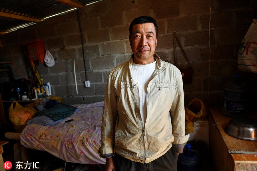 博科圣地組織，深度解析與理解，博科圣地組織深度解析與探究