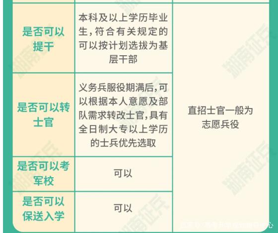 士官直招與義務(wù)兵的區(qū)別，深入了解軍隊(duì)招募制度，直招士官與義務(wù)兵招募制度深度解析，軍隊(duì)招募制度詳解