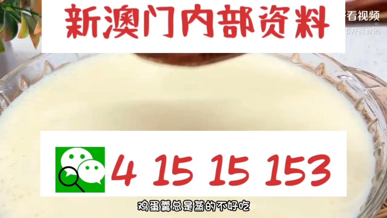新澳門中特網(wǎng)中特馬，探索與解析，澳門中特馬探索與解析指南