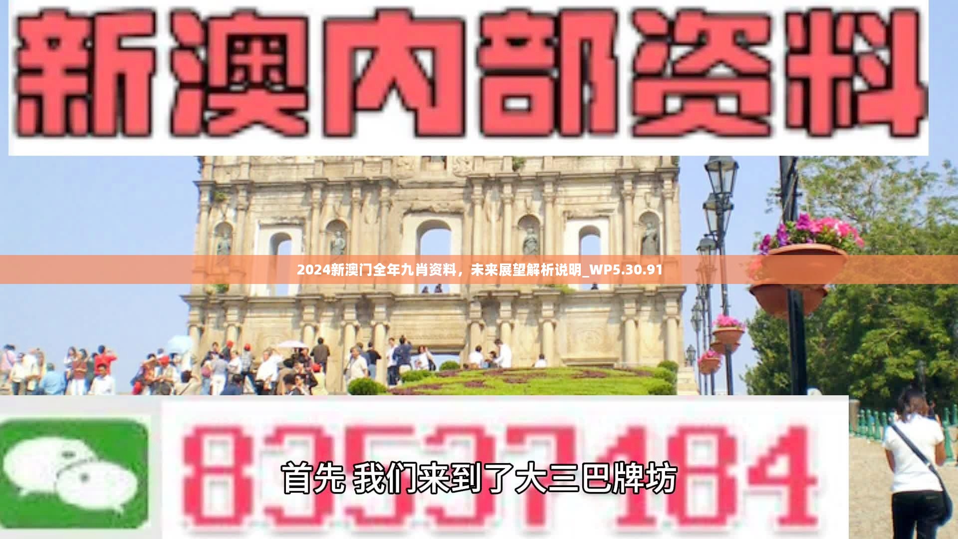 新澳門精準(zhǔn)九肖，揭秘預(yù)測技巧與策略，揭秘新澳門精準(zhǔn)九肖預(yù)測技巧與策略