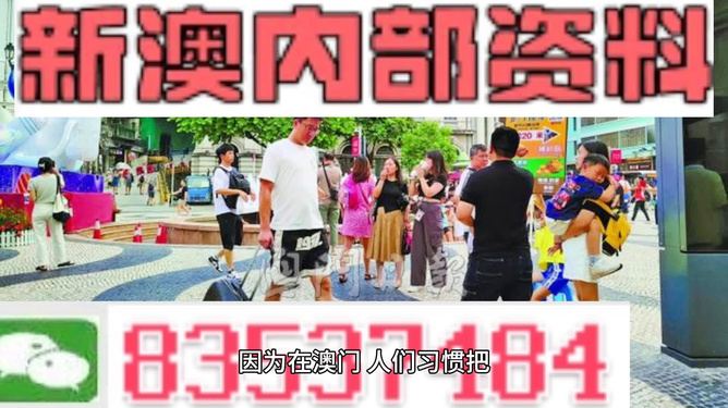 澳門資料大全新版本優(yōu)勢，澳門資料大全新版優(yōu)勢解析