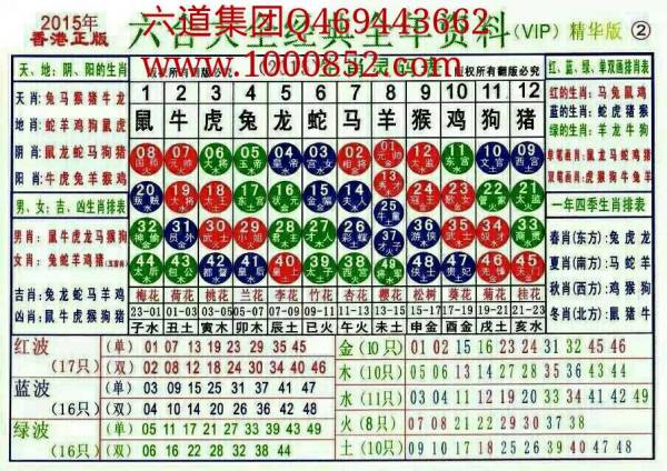 揭秘2024十二生肖49碼表——完整指南，揭秘十二生肖49碼表全攻略，2024年最新版指南