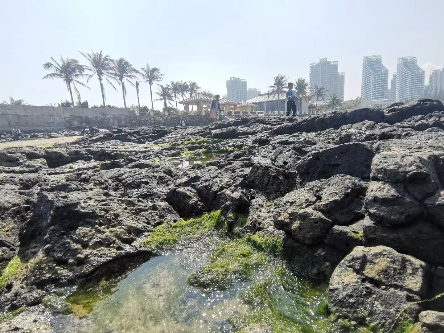 解放海南島電視劇全集下載，探尋30集完整劇情，解放海南島電視劇全集下載，探尋完整的30集劇情探索