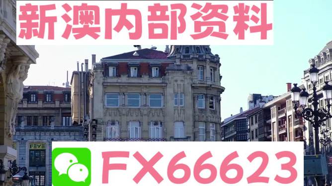 澳門六資料大全，深度探索與揭秘，澳門六資料大全，深度探索與揭秘之旅