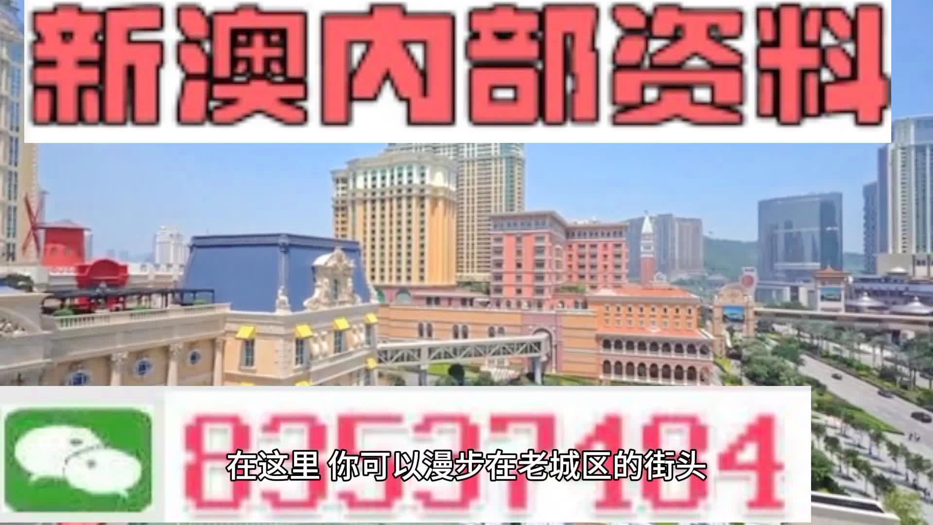 新澳門期期準精準，探索澳門的未來與SEO策略，澳門未來展望與SEO策略探索，精準瞄準新機遇