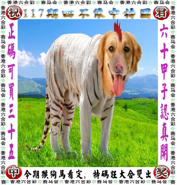 王中王四不像一肖論壇，探索神秘論壇的世界，王中王四不像一肖論壇，神秘論壇世界的探索之旅