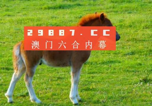 澳門答家婆一肖一馬一中一特，揭秘背后的秘密與獨(dú)特文化魅力，澳門文化魅力深度解析，答家婆一肖一馬一中一特的獨(dú)特傳統(tǒng)與秘密