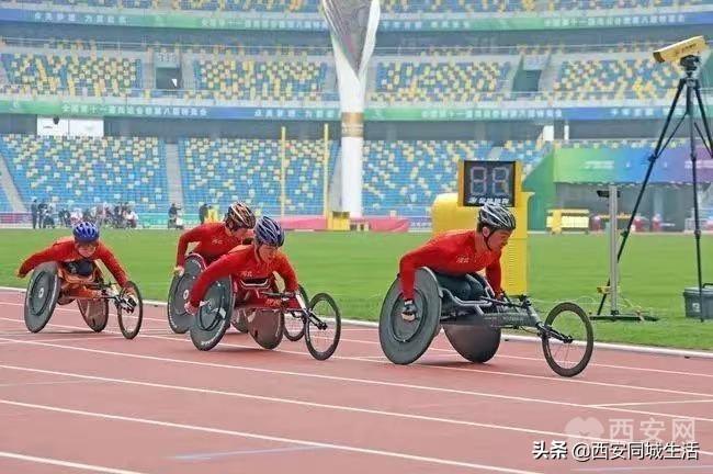 2025年澳門精準免費大全——全面解析澳門未來展望與特色體驗，澳門未來展望與特色體驗解析，澳門精準免費大全（2025版）
