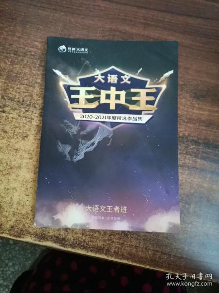 中王中王資料一肖中特天，深度解析與探索，中王中王資料一肖中特天，深度探索與解析報告