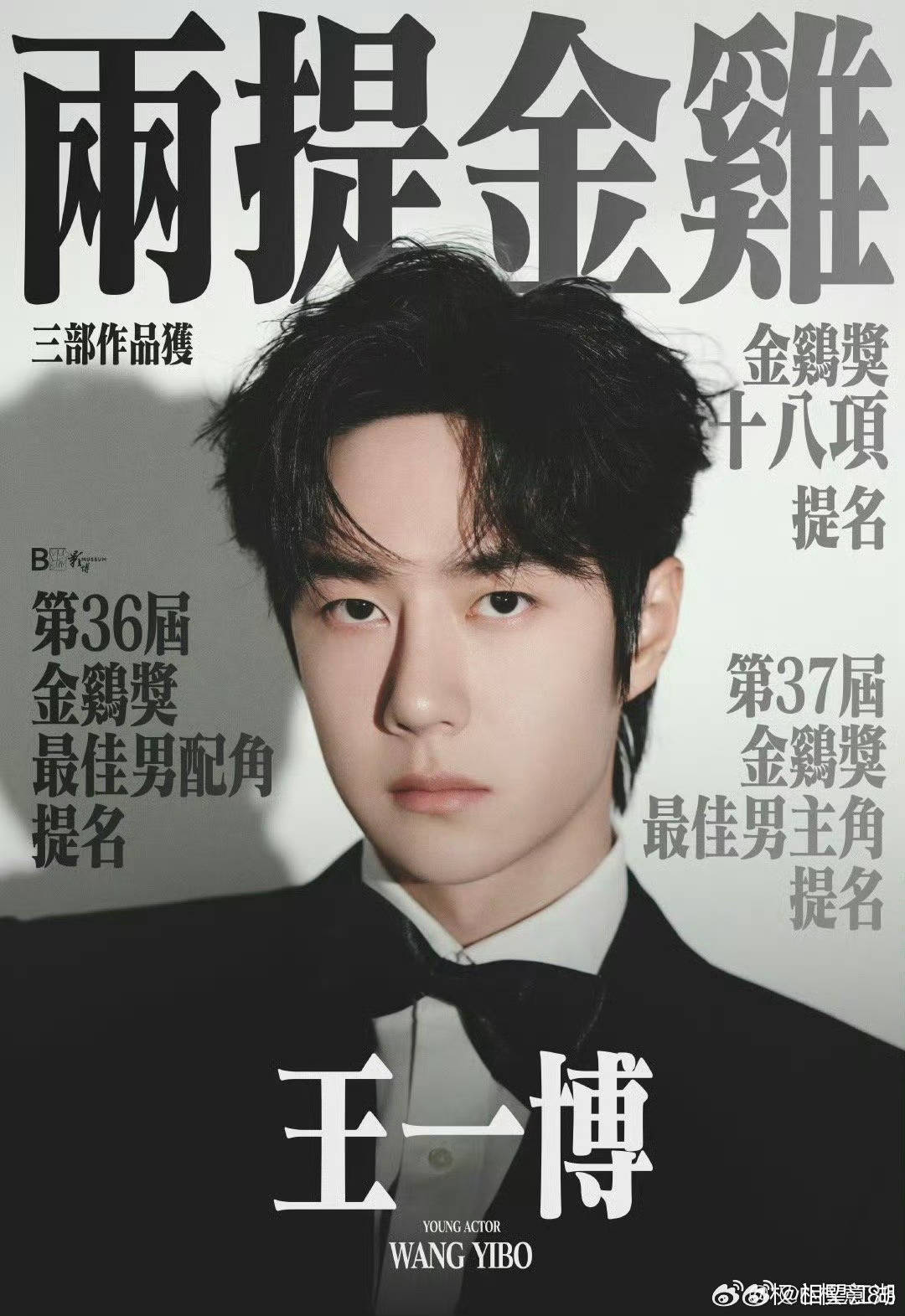 王中王一肖中特論特，深度解析與SEO洞察，深度解析王中王一肖中特論特與SEO洞察