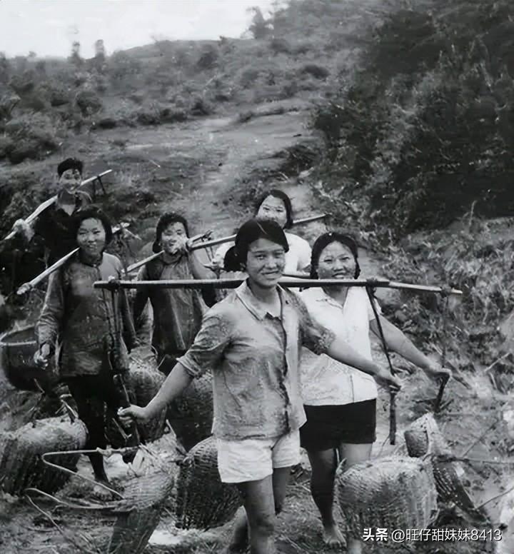 關(guān)于49圖庫(kù)圖片資料的專業(yè)解析與探索，49圖庫(kù)圖片資料深度解析與探索