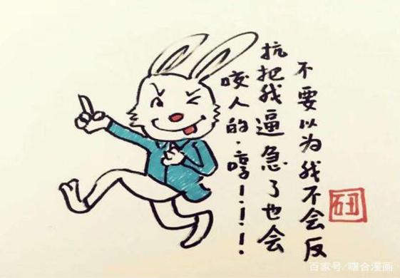 一肖不中賠多少倍，深度解析與策略建議，一肖不中賠倍深度解析及策略建議