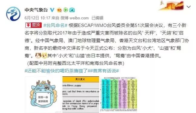 新澳門必中三肖三碼三期必開劉伯，揭秘彩票背后的秘密與策略，揭秘彩票背后的秘密與策略，劉伯的新澳門三期必開三肖三碼預(yù)測技巧