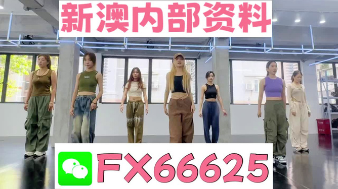 新澳一肖，探索與解析，新澳一肖，深度探索與解析