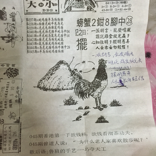 揭秘林中的高手王中王猜一肖的奧秘，揭秘林中之王王中王與生肖奧秘探秘
