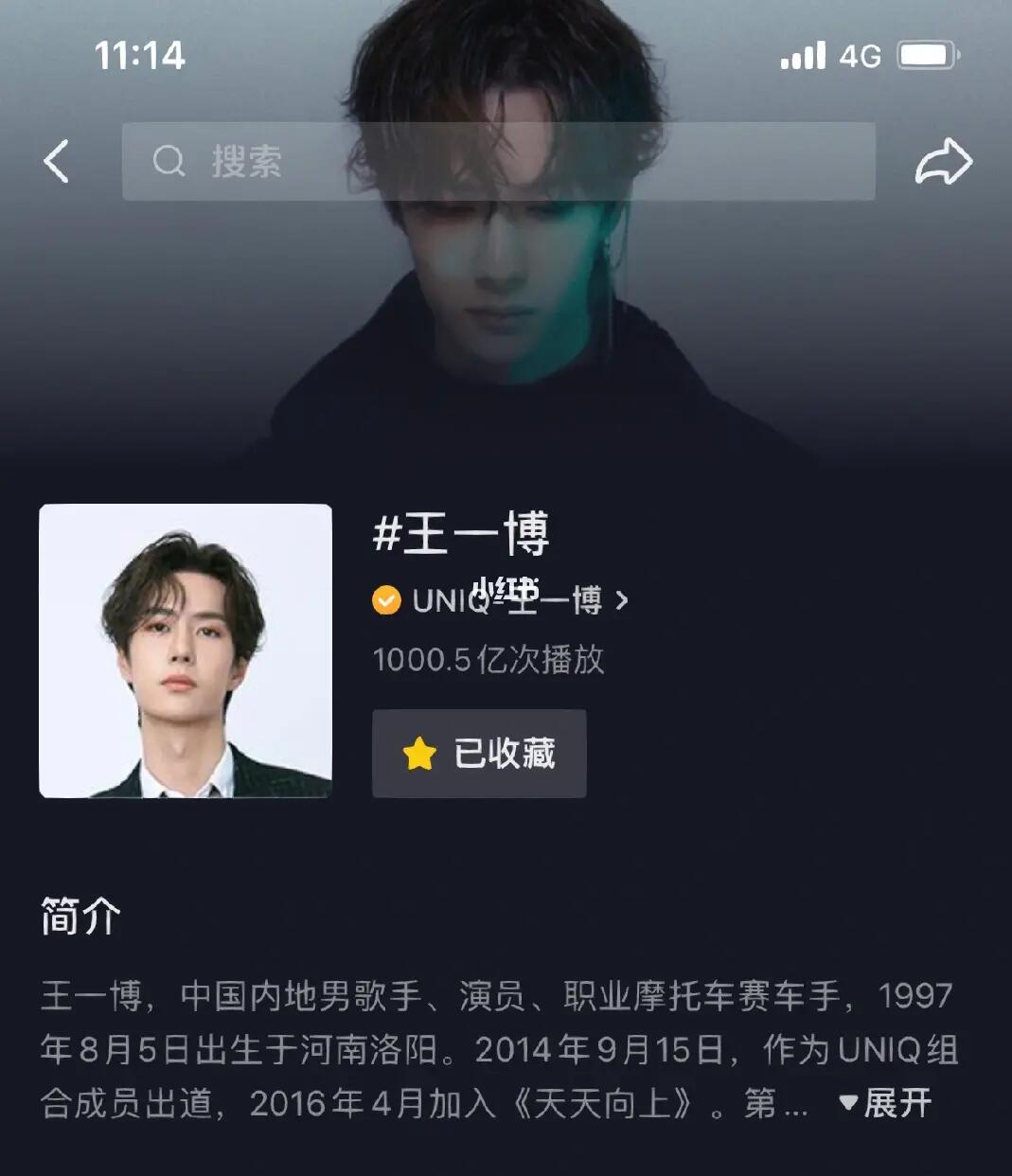 王中王一肖內(nèi)部資料詳解，王中王一肖內(nèi)部資料深度解析