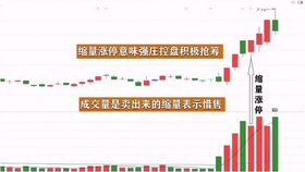 王中王一肖平碼，揭秘背后的故事與SEO策略，王中王一肖平碼背后的故事與SEO策略揭秘