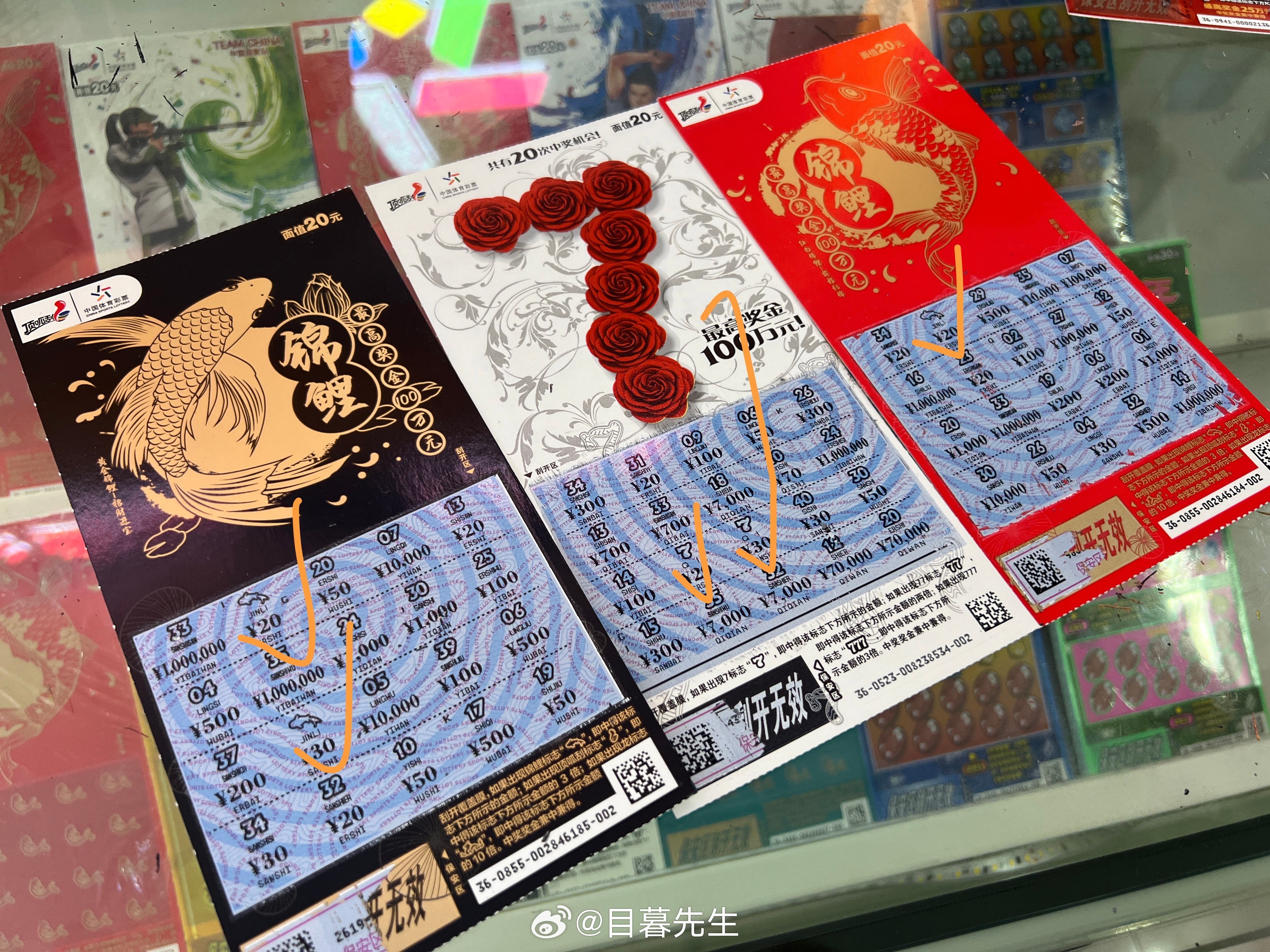 全年王中王一肖中特，深度解析與預(yù)測，全年王中王一肖深度解析與預(yù)測，揭秘特肖趨勢