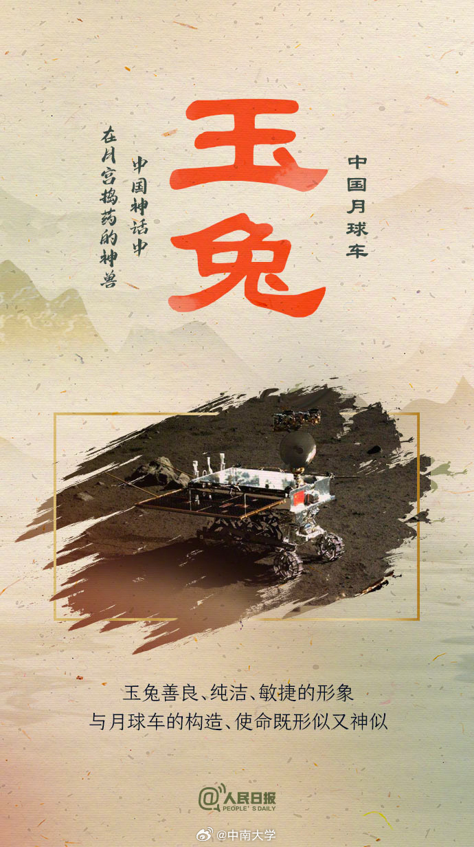 揭秘王中王平特一肖免會公開的奧秘，王中王平特一肖免公開揭秘奧秘