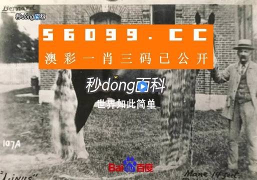 澳門王中王心水王中王，探索與解析，澳門王中王心水奧秘，深度探索與解析