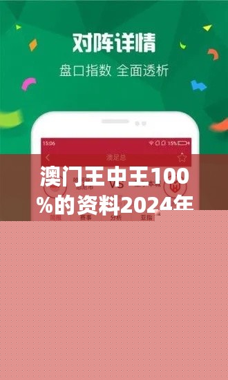 王中王網(wǎng)站一肖，探索與SEO優(yōu)化策略，王中王網(wǎng)站一肖，深度探索與SEO優(yōu)化策略實(shí)踐